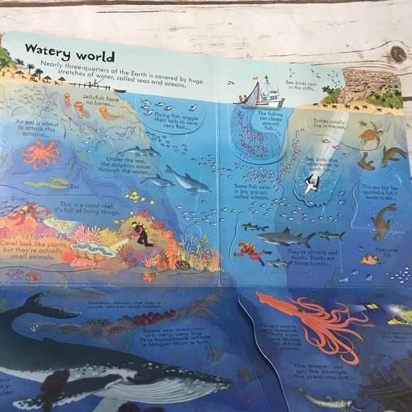 Usborne Look Inside Our World Lift the‎ flap hardcover book like new kids - Picture 5 of 10